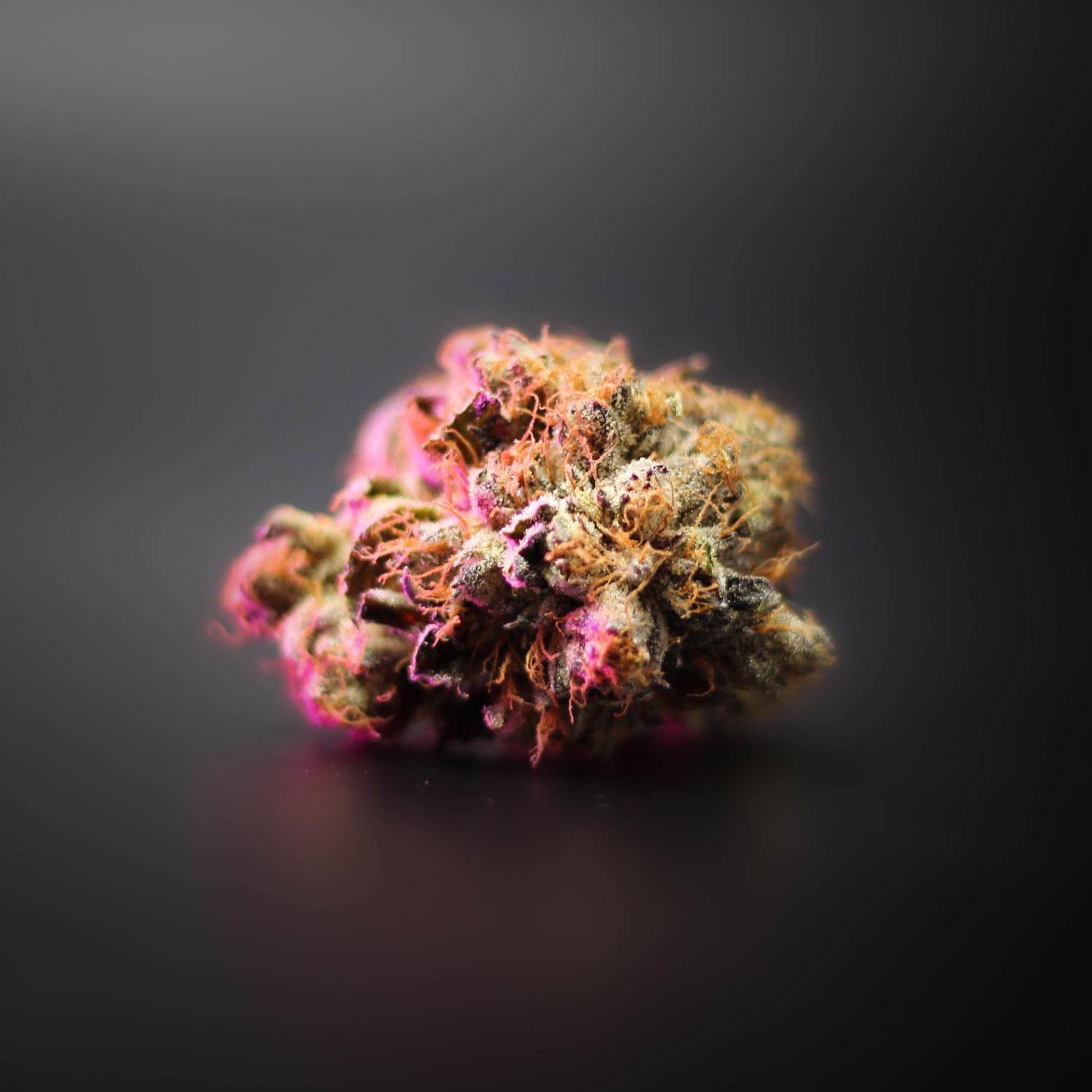 Cannabis